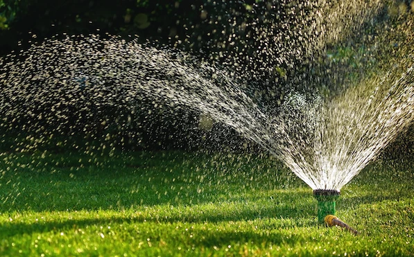 Sprinklers watering lawn.