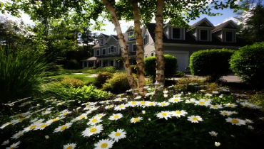 Home with daisies out front.