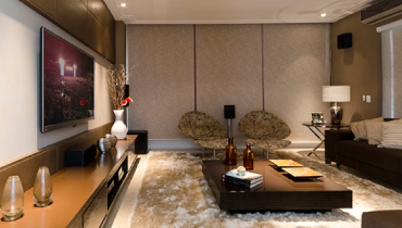 Home theater set up
